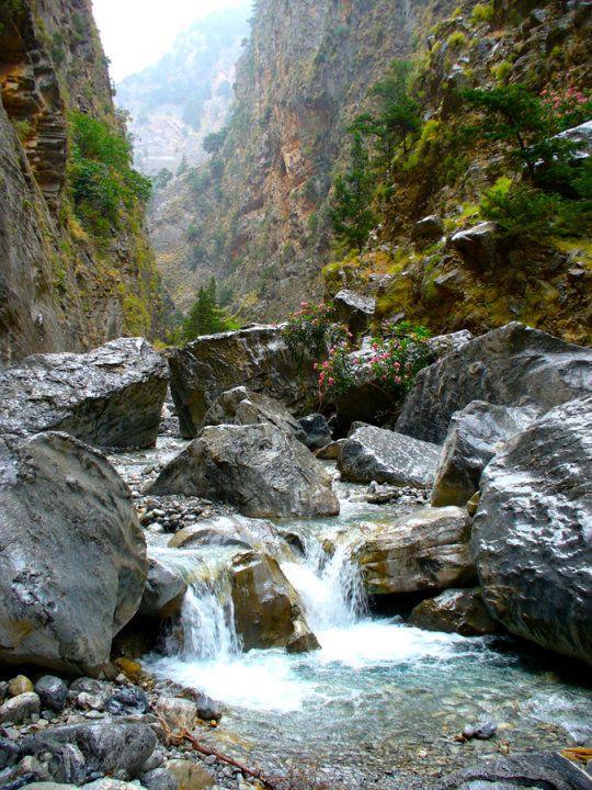 Gorges de Samaria  GRECE.jpg