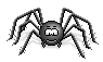 https://static.blog4ever.com/2014/07/779221/661-araignee-noire-marche-1-.gif