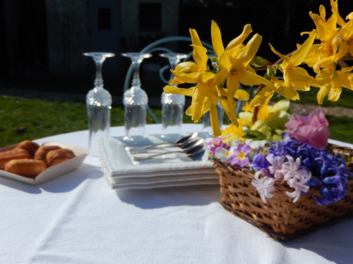 préparer son extérieur pour le printemps