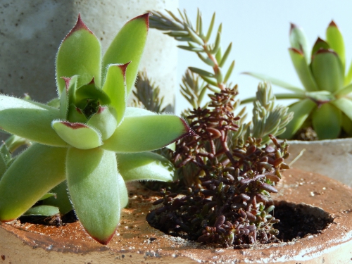 DIY des pots déco en béton et cuivre 3