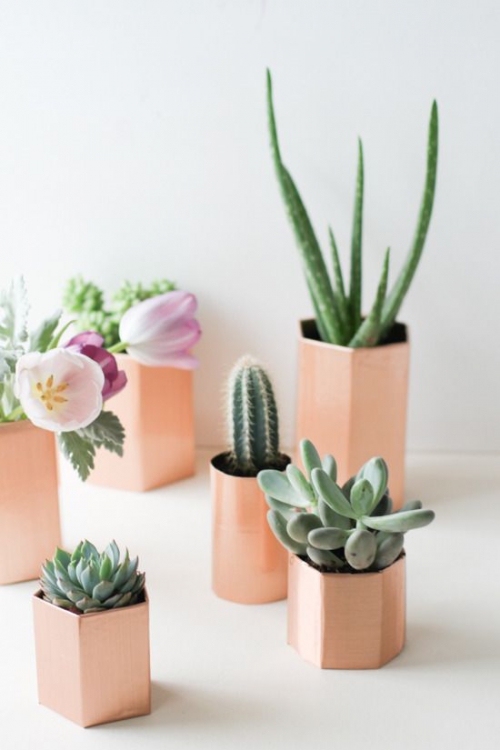 Inspiration succulentes en pots