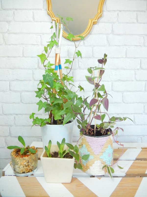 diy un tuteur façon tipi pour plantes grimpantes 2