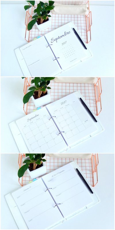 astuces pour utiliser un agenda pour s'organiser 1