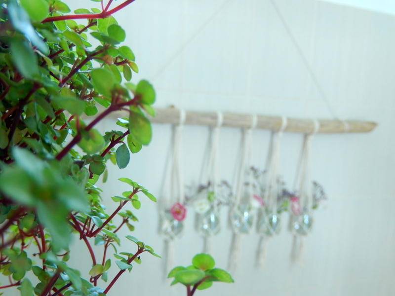 des plantes pour la salle de bain