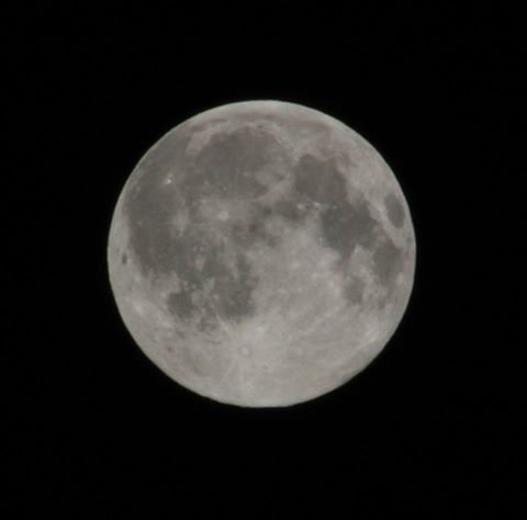 Lune Christian Cellier.jpg