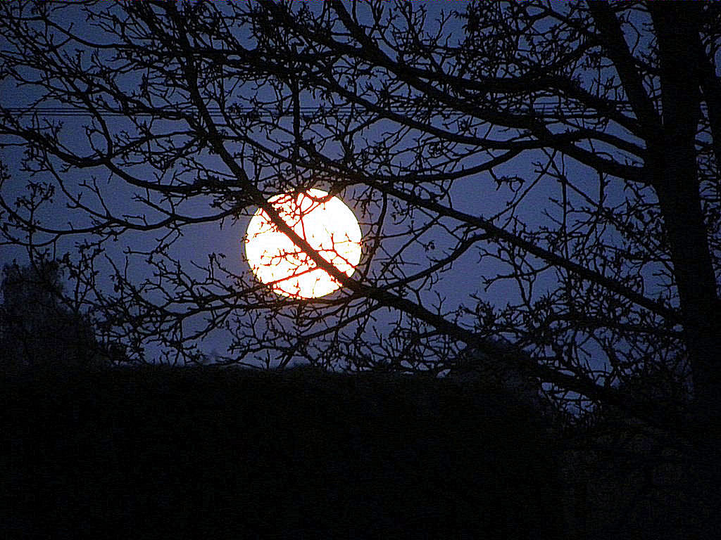 Lune Cigalette.jpg