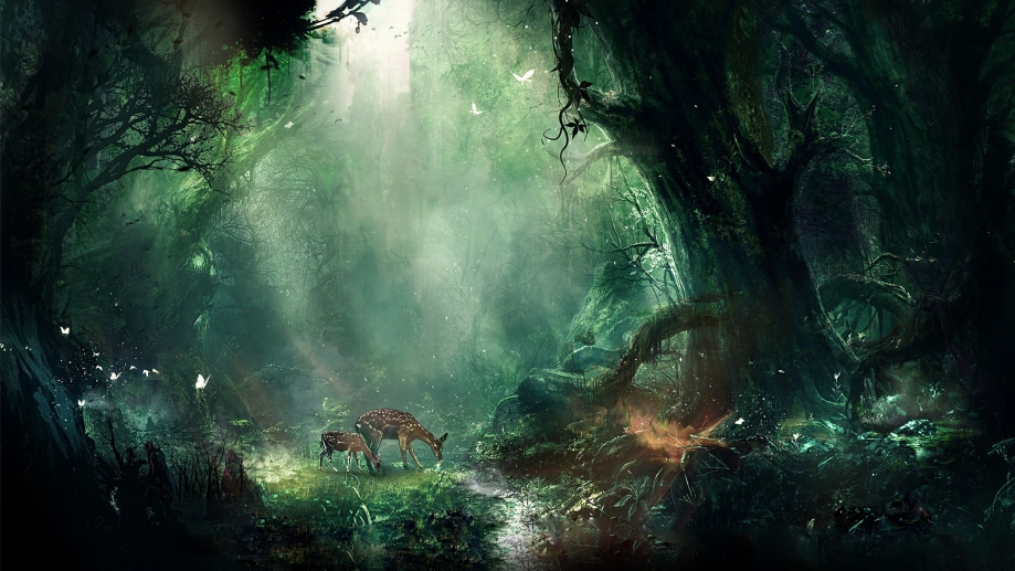 jungle_fantasy_deer_butterflies_night_trees_102121_1920x1080.jpg