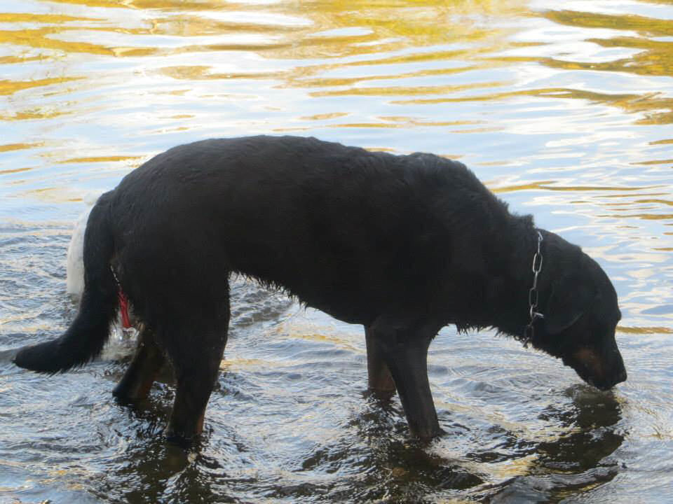 kylie dans l'eau.jpg