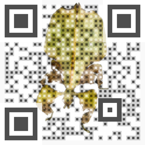 Visual_QR_DO_NOT_RESIZE_BELOW_25mm.png
