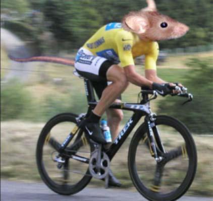 lance-armstrong-souris.jpg