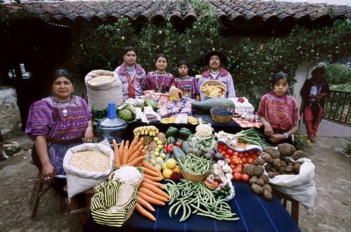 Menzel & D'Aluisio - Guatemala.jpg