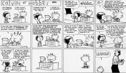 calvin et hobbes.png