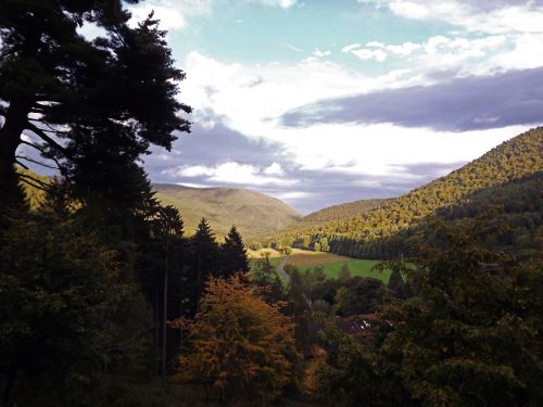 La forêt Palatine