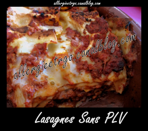 Lasagnes sans PLV.jpg