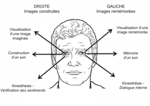 détection-du-mensonge-pnl-300x213.png