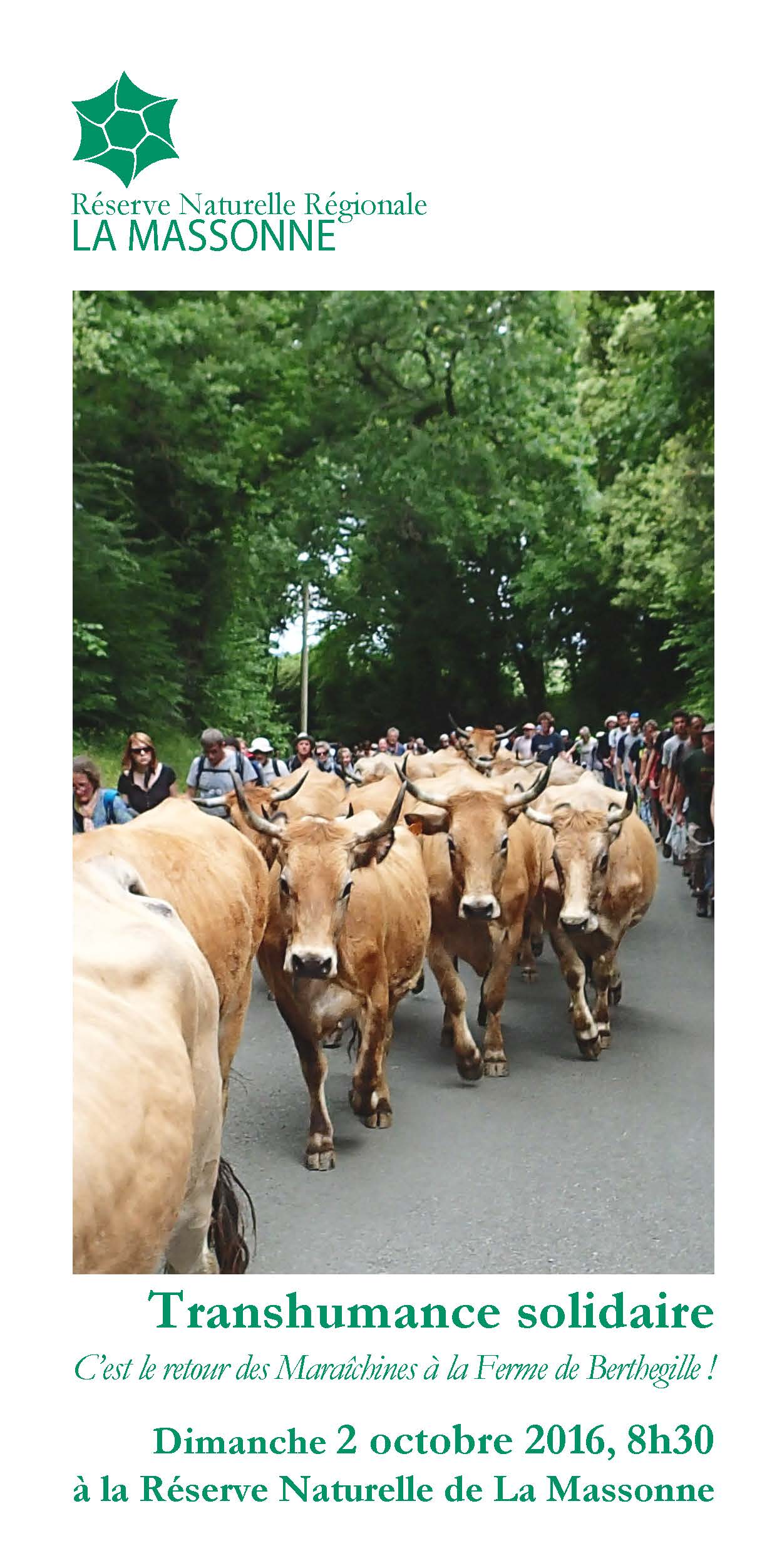 Invit_Transhumance2-2016_Page_1.jpg