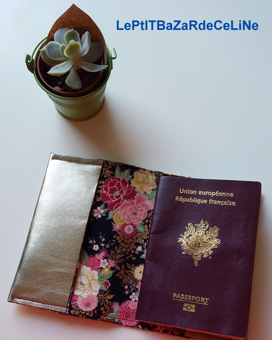 pochette passeport Version F-001.jpg