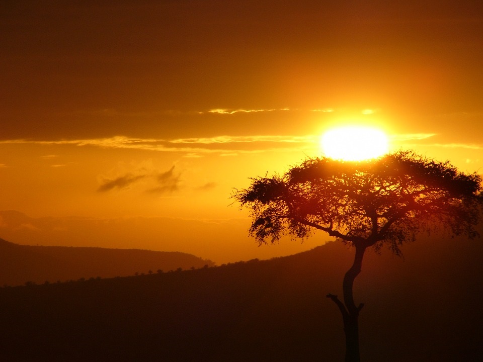 Sunrise-From-Doubt-Hope-Love-Africa-Sun-Tree-1802871 bis.jpg