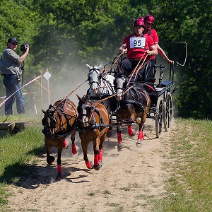 l'attelage concours rennes.jpg