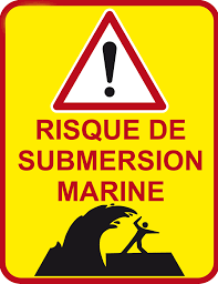 SUBMERSION MARINE.png