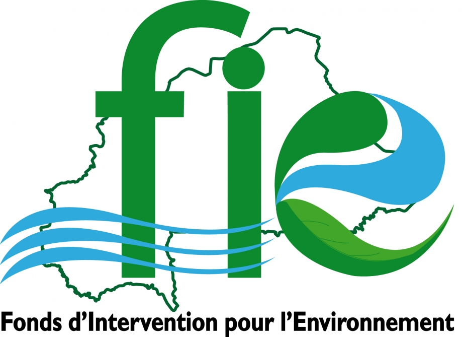 Logo FIE définitif.jpg