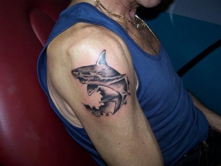 tatouage-requin.jpeg