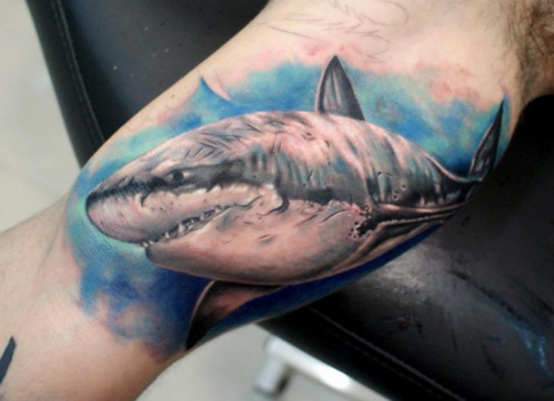 tattoo-aem-realistic-shark.jpeg