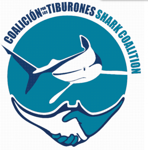 shark-coalition.png
