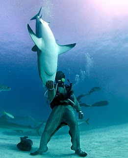 Mike-Rutzen-diving-with-sharks.jpg