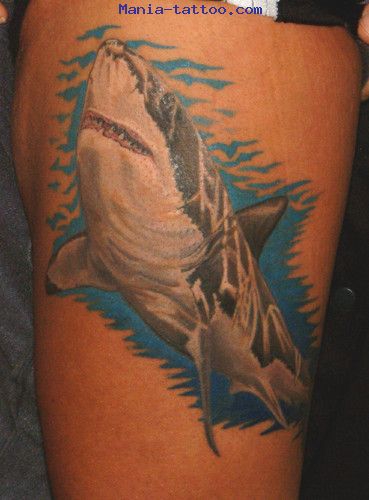 69-Mania-tattoo.com-tattoo-requin-shark-.jpg