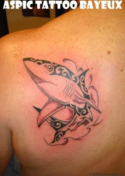 requin-maori.jpg