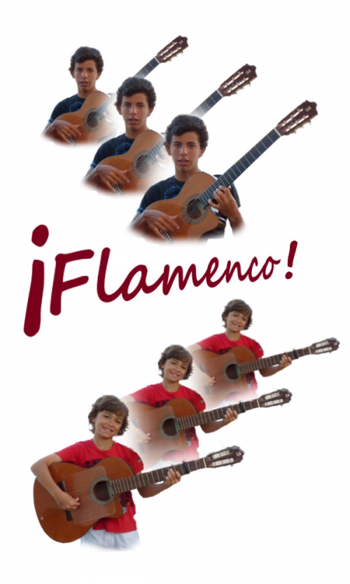 FLAMENCO.JPG