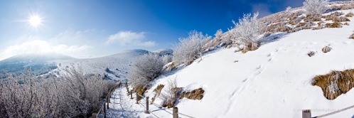 chemin-d-acces-au-sommet-du-puy-pariou-en-auvergne-1.jpg