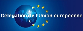 logo_delegation_de_l_union_europeenne.jpg