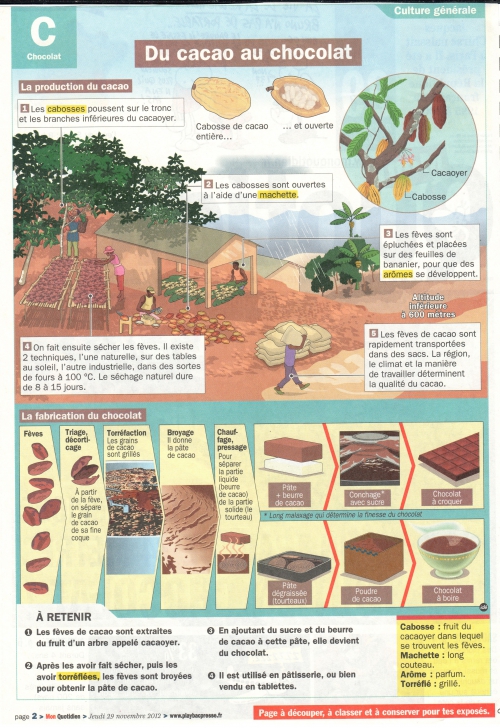 Du cacao au chocolat.jpg