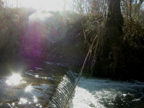 waterfallLL.JPG