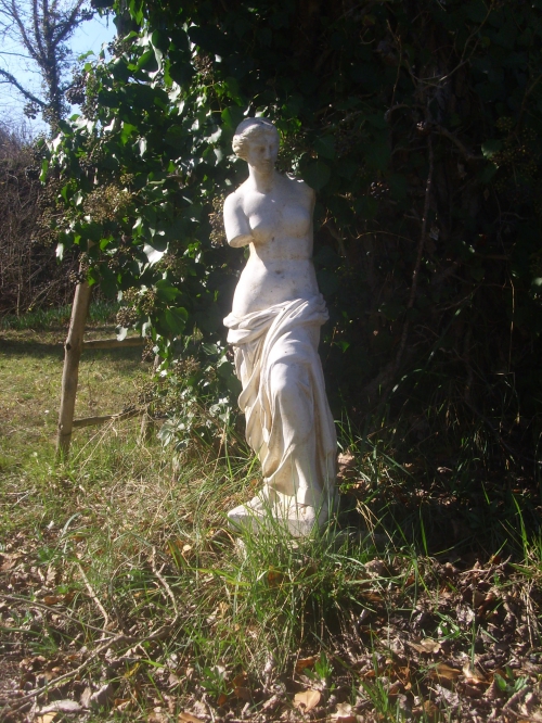 WhiteLady1.JPG