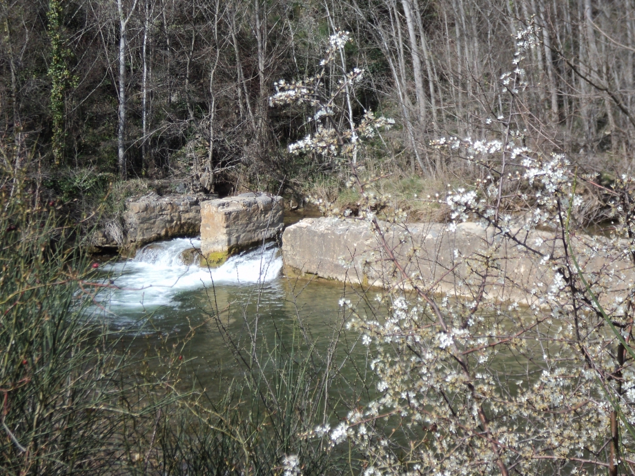 DSC03630.JPG