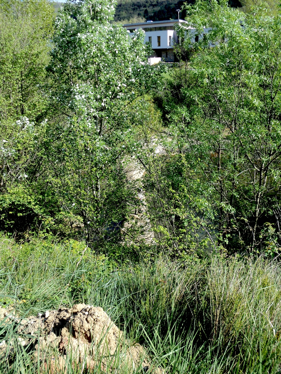 DSC03866.JPG