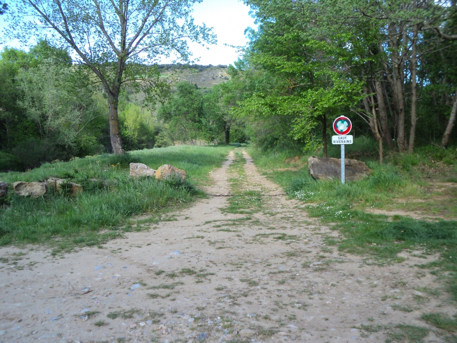 RomanRoad.JPG