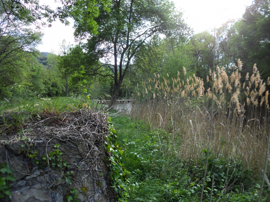 WellBridge.JPG