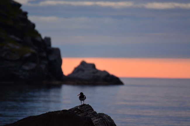 Grand jury 3  Cap Nord Petit n°1 National geographic 1.JPG