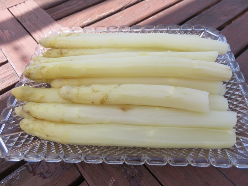 ASPERGES.jpg