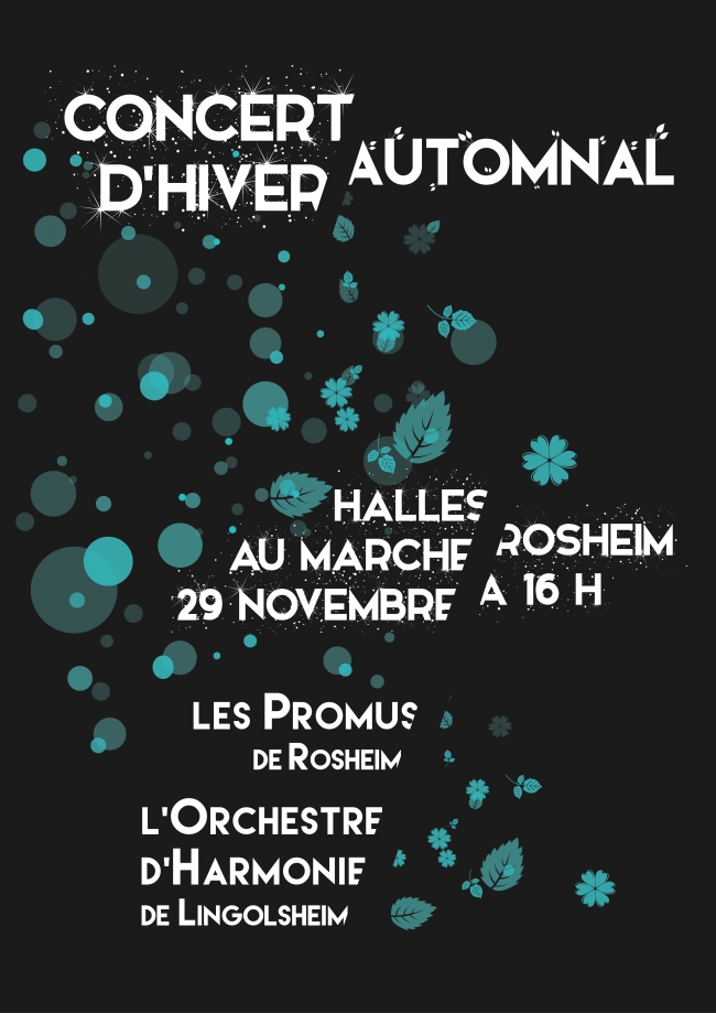 affichehiver8.jpg