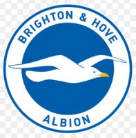 Brighton and Love Albion.jpg