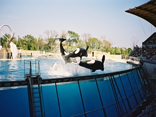 marineland-activites-pour-enfants.jpg