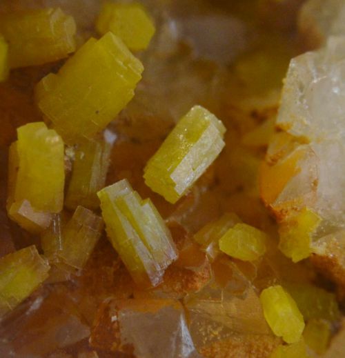 Pyromorphite de l'Hérault, très rare échantillon, le minéral n'ayant jamais été signalé dans le département. Microminéralogie