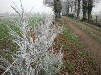 givre