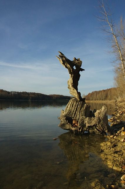 Une des installations que vous retrouverez dans le reportage suivant...