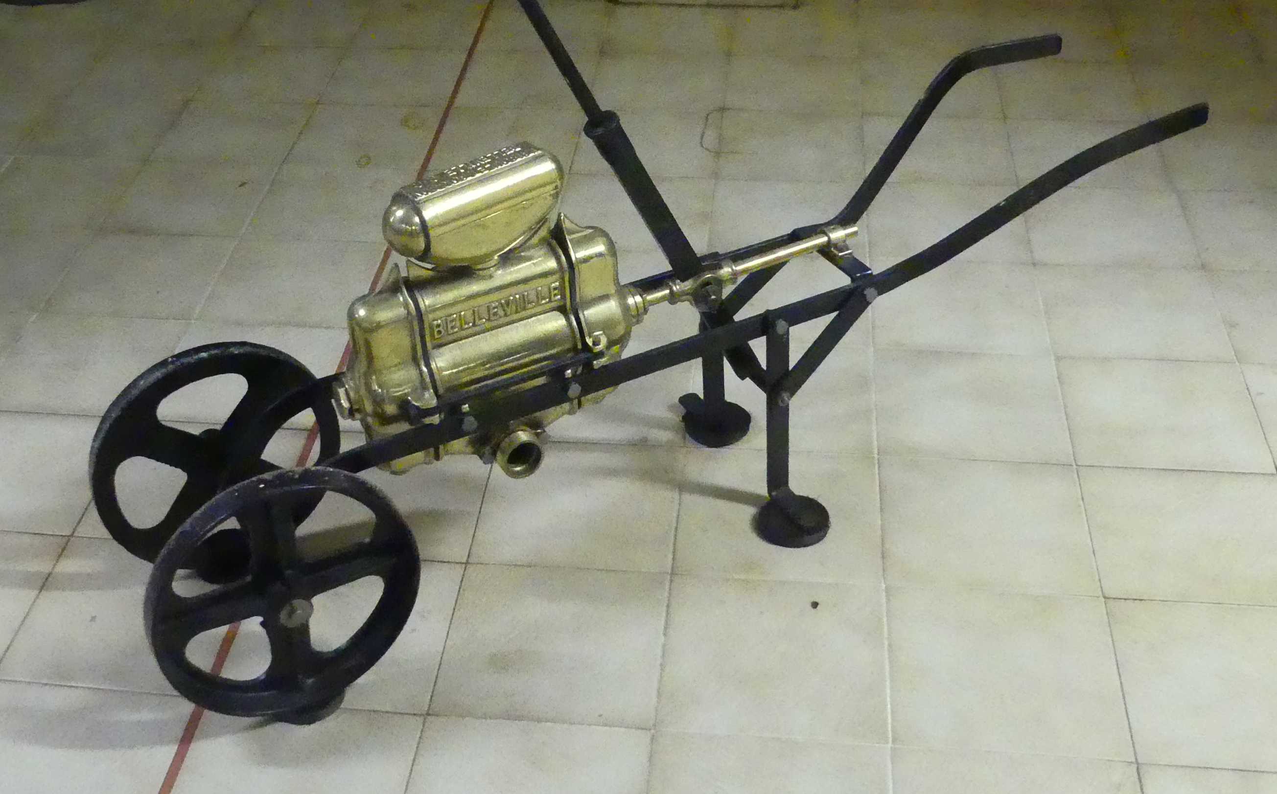 P1000681.JPG